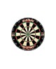 Cible professionnelle pointe acier Winmau