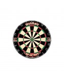 Cible professionnelle pointe acier