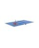 plateau ping pong pour billard